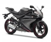 2013 Yamaha YZF-R125 photo